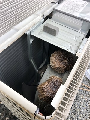 室外機内部